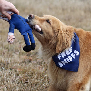 Joe Biden Dog Toy and Dog Bandana
