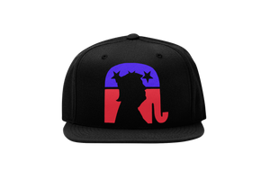 Trumplican Hat