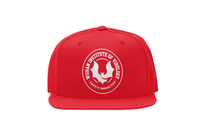 Wuhan Safety Inspector Hat