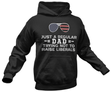 Load image into Gallery viewer, Just a Regular Dad Trying Not To Raise Liberals Hoodie